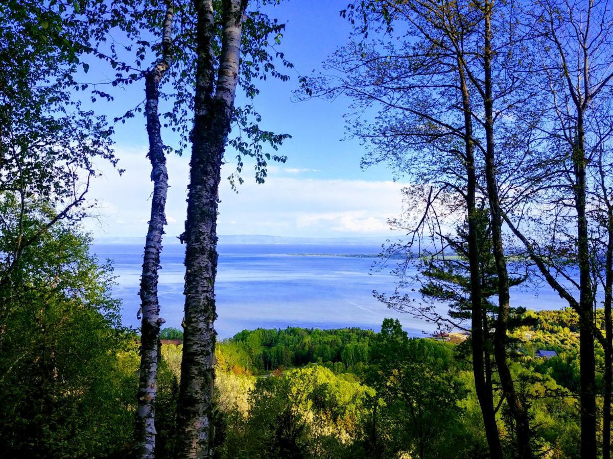 Auberge De La Rive De Charlevoix - Auberge De Jeunesse Familiale Pour Voyageurs De Tous Ages Saint-Joseph-de-la-Rive Esterno foto